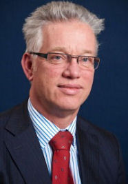 Ernst Peter Tamminga, Beedigd Informaticadeskundige, Gerechtelijk Deskundige ICT
